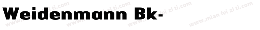Weidenmann Bk字体转换